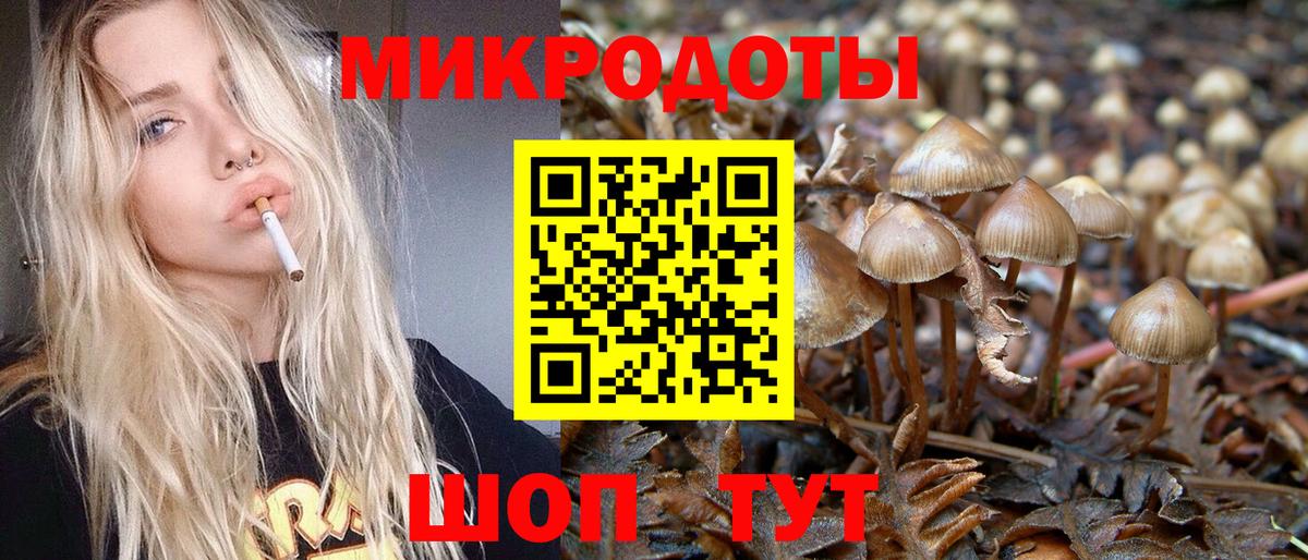 Галлюциногенные грибы Cubensis Озёрск